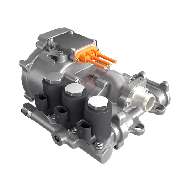 Hydrogen Common Rail System DG47