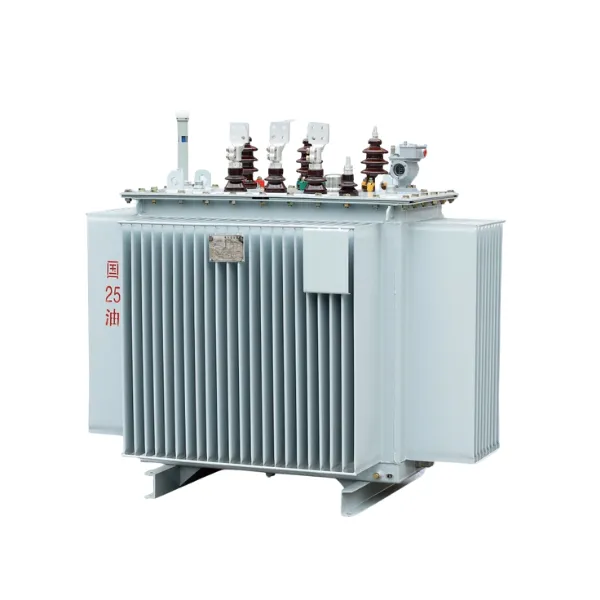 S13-M-30-250010 Fully Sealed Distribution Transformer